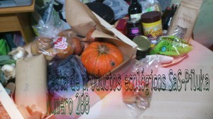 cesta SaS
