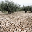 Marremia, romper no sé si se romperá, pero secarse… otro día a 32 graditos!!  Yo creo que se resquebraja mas esto por la falta de agua que por otras cosas… […]