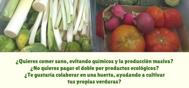 ¡Buscamos gente interesada en comer sano y de forma responsable! Más información en el cartel y en nuestra web: https://wp.sindominio.net/surcoasurco/ O contactar por correo electrónico sas@lapiluka.org